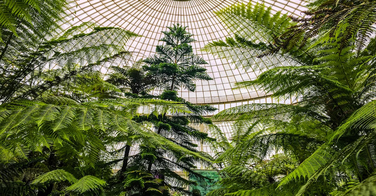 Giardini Botanici