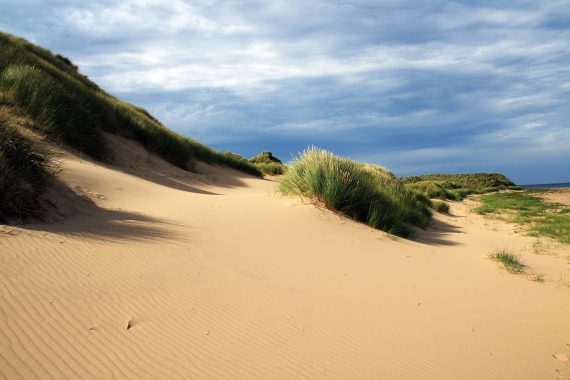 beach, unaffected, sea, coast, sand, nature, landscape, heaven, scotland, sand dunes, grass